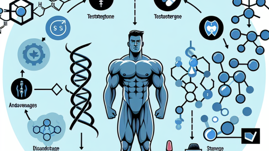Proviron en association avec la testostérone : avantages et inconvénients
