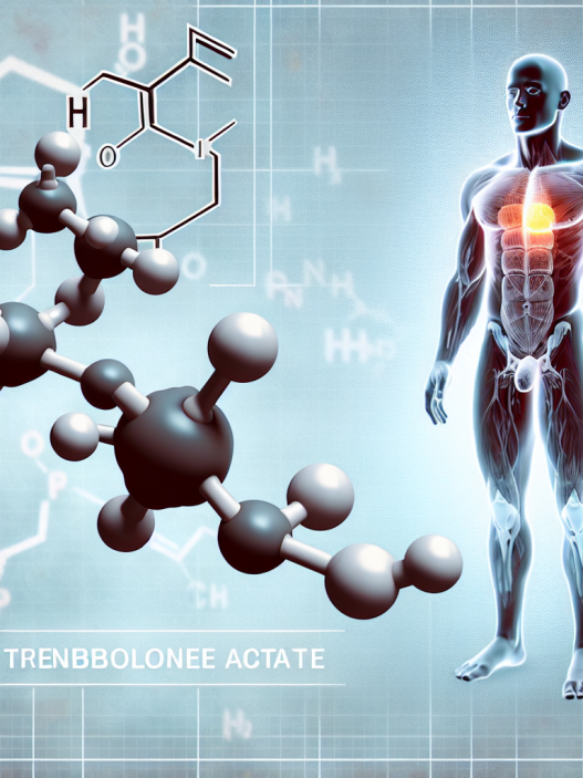 L'acétate de trenbolone et les risques de gynécomastie